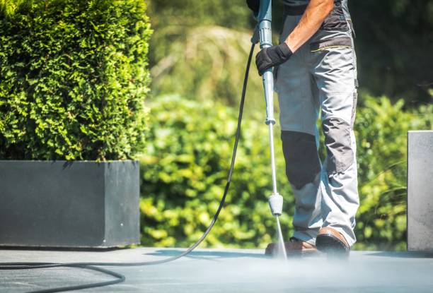 Best Solar Panel Cleaning  in Papillion, NE