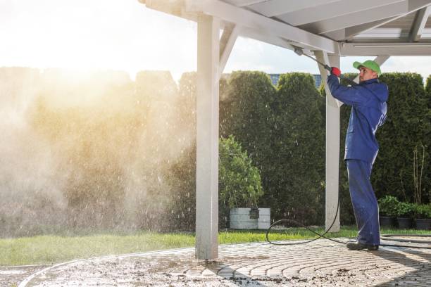 Best Animal Enclosure Cleaning  in Papillion, NE