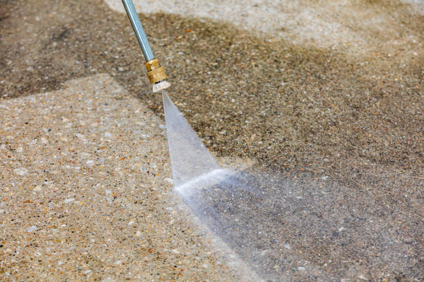 Best Building Exterior Washing  in Papillion, NE