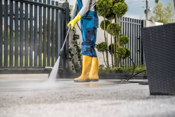 Best Sidewalk and Walkway Cleaning  in Papillion, NE